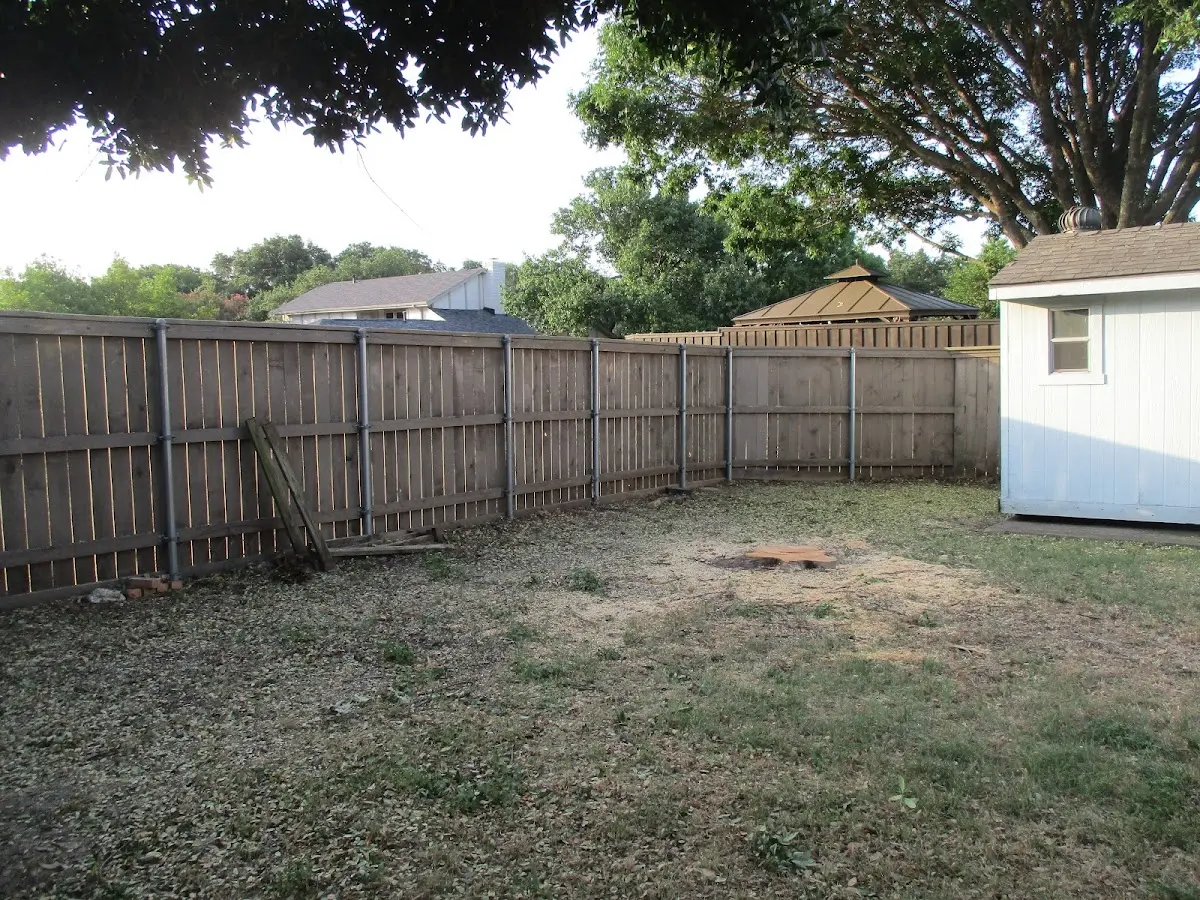 Cleared yard after professional tree removal in Scottsburg