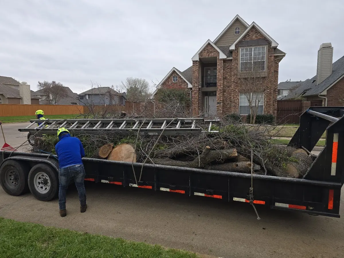 Expert Tree Pest Control with proper safety equipment in Scottsburg